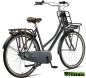 Preview: Altec Dutch 28 Zoll Transportfahrrad 3 Gang 57 cm Dolphin-Grau