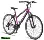 Preview: Damen Trekking Sport Bike Legarda 24 Gang 49 cm Purpel-Pink