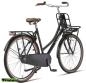Preview: Altec Urban 28 Zoll Hollandfahrrad 50 cm schwarz