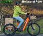 Preview: Elektro Dreirad Zocket 24, Mittelmotor, 80 NM / 540 WH, Gefedert, sehr Stark, Wein-rot