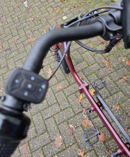 Preview: NEU: Elektro Dreirad Zemto-UM-CHILL , 672 WH, 80 NM - Mittelmotor, Weinrot