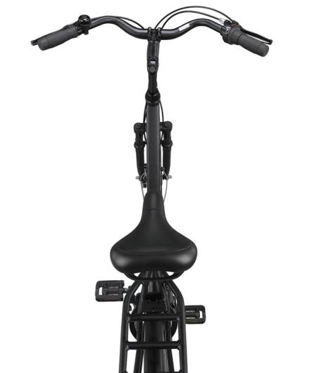 Altec Delta Plus 28 Zoll Damenfahrrad 50 cm Schwarz 3 Gang