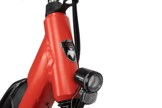 Sehr starkes Elektro-Firmenfahrrad 28 Zoll, 55 cm "Burgers", Leihfahrrad, schwarz-matt