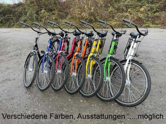 Sehr starkes Hollandrad 26/28 Zoll "Burgers", Leihfahrrad, Firmenfahrrad grün