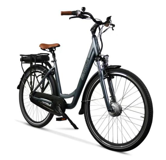 Damen E-Bike WEE , 28 Zoll, 7 Gang, nur 50 cm Rahmenhöhe, 13.4 AH  grau
