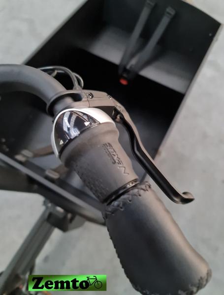 Extrem kräftiges Elektro-Buzz-Cangoo mit 120 NM (2 Rädrig)