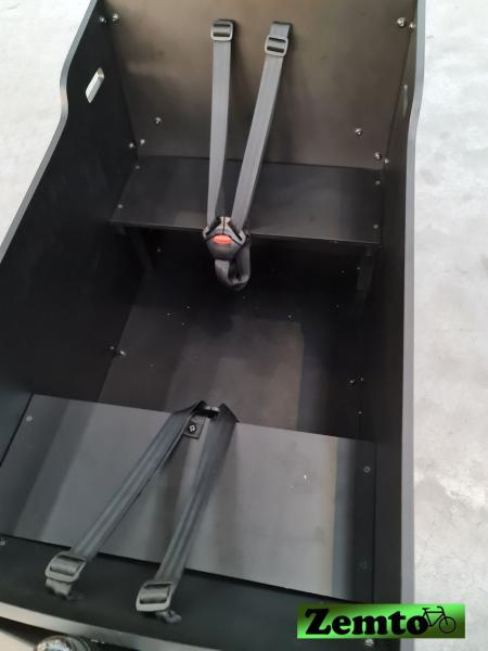Extrem kräftiges Elektro-Buzz-Cangoo mit 120 NM (2 Rädrig)