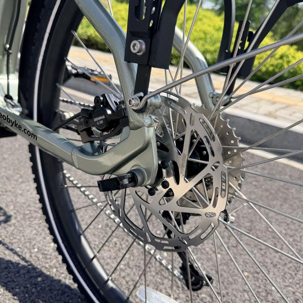 Elektro Dreirad Zemto-Mover T5, kleine Rikscha, mit Lastenrad Umbau Möglichkeit grün